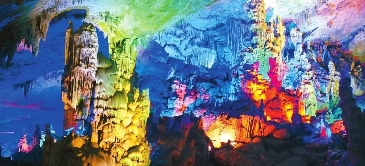 探索腊梅工制作过程怎么做？知识星球 | 权威解读、共享交流